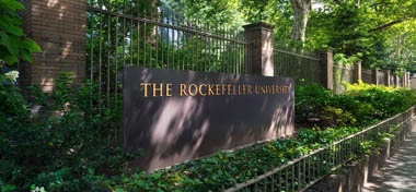 洛克菲勒大学